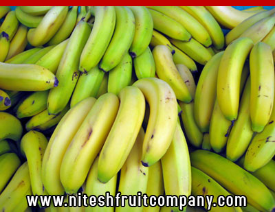 nitesh fruit company - banana cold storage in ludhiana punjab - banana ripening plant in ludhiana punjab - banana suppliers distributors in ludhiana punjab india