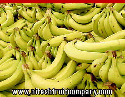 nitesh fruit company - banana cold storage in ludhiana punjab - banana ripening plant in ludhiana punjab - banana suppliers distributors in ludhiana punjab india