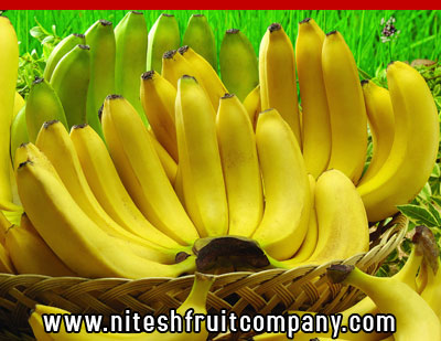 nitesh fruit company - banana cold storage in ludhiana punjab - banana ripening plant in ludhiana punjab - banana suppliers distributors in ludhiana punjab india