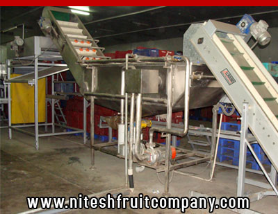 nitesh fruit company - banana cold storage in ludhiana punjab - banana ripening plant in ludhiana punjab - banana suppliers distributors in ludhiana punjab india