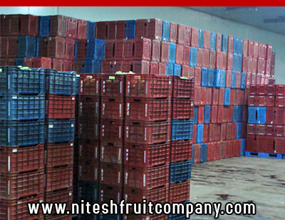 nitesh fruit company - banana cold storage in ludhiana punjab - banana ripening plant in ludhiana punjab - banana suppliers distributors in ludhiana punjab india