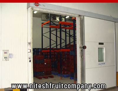 nitesh fruit company - banana cold storage in ludhiana punjab - banana ripening plant in ludhiana punjab - banana suppliers distributors in ludhiana punjab india