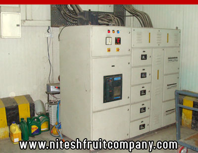 nitesh fruit company - banana cold storage in ludhiana punjab - banana ripening plant in ludhiana punjab - banana suppliers distributors in ludhiana punjab india