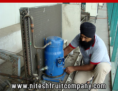 nitesh fruit company - banana cold storage in ludhiana punjab - banana ripening plant in ludhiana punjab - banana suppliers distributors in ludhiana punjab india