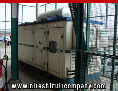 nitesh fruit company - banana cold storage in ludhiana punjab - banana ripening plant in ludhiana punjab - banana suppliers distributors in ludhiana punjab india