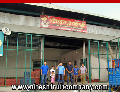 nitesh fruit company - banana cold storage in ludhiana punjab - banana ripening plant in ludhiana punjab - banana suppliers distributors in ludhiana punjab india