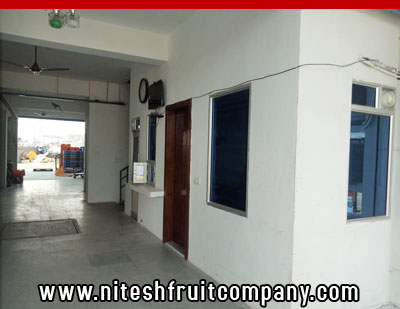 nitesh fruit company - banana cold storage in ludhiana punjab - banana ripening plant in ludhiana punjab - banana suppliers distributors in ludhiana punjab india
