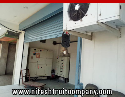 nitesh fruit company - banana cold storage in ludhiana punjab - banana ripening plant in ludhiana punjab - banana suppliers distributors in ludhiana punjab india