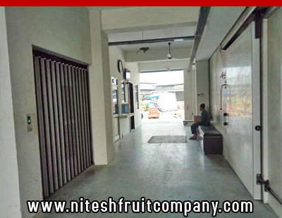 nitesh fruit company - banana cold storage in ludhiana punjab - banana ripening plant in ludhiana punjab - banana suppliers distributors in ludhiana punjab india