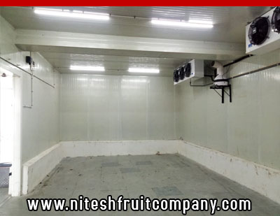 nitesh fruit company - banana cold storage in ludhiana punjab - banana ripening plant in ludhiana punjab - banana suppliers distributors in ludhiana punjab india