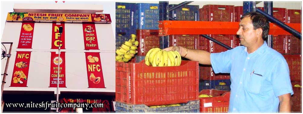 fruits banana cold storage in ludhiana punjab india